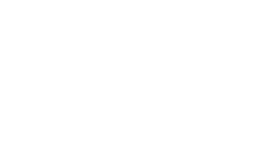 lexus (1)